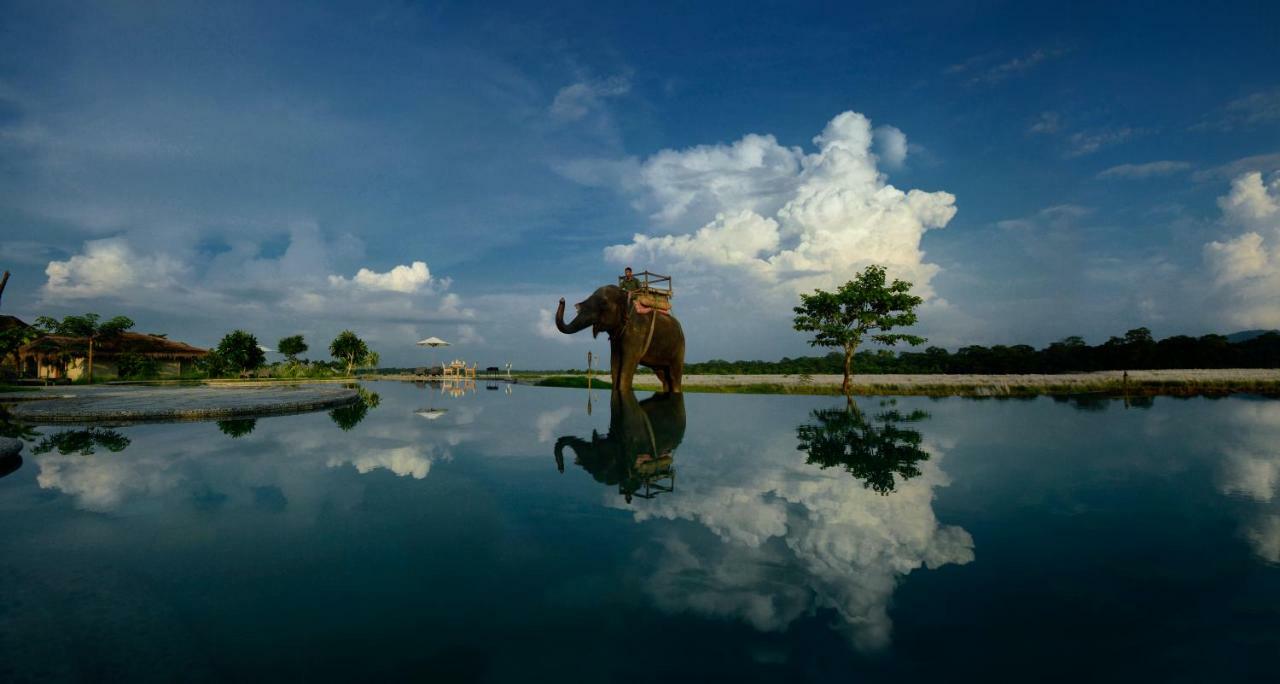Barahi Jungle Lodge Meghauli Экстерьер фото